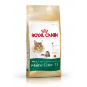 ROYAL CANIN MAINE COON